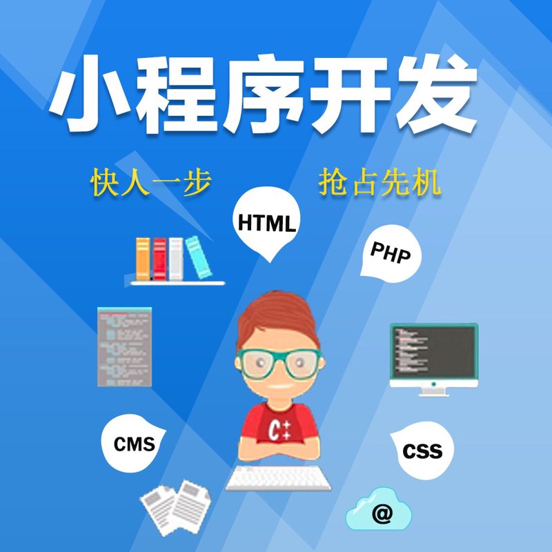 如何选择适合的小程序开发服务